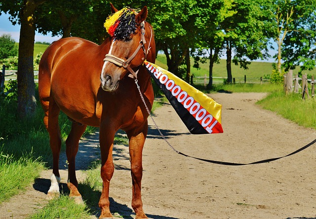 进攻数据 进攻数据