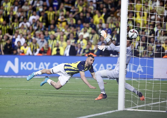 为影响桑托 为影响桑托