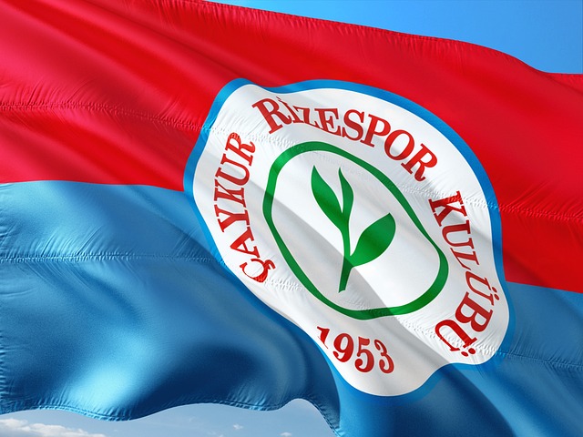 训练体系 训练体系