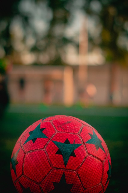 球迷关注 球迷关注