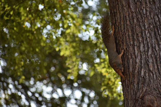 负面影响 负面影响