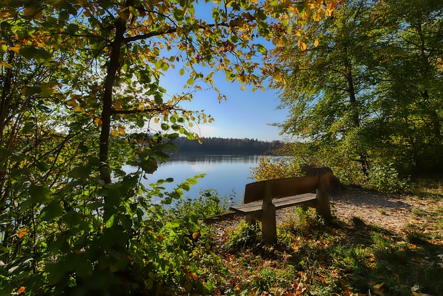 在群星璀璨 在群星璀璨